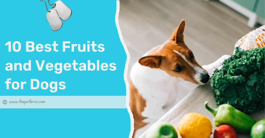 10 Best Fruits and Vegetables for Dogs The PetBros
