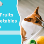 Best Fruits and Vegetables for Dogs