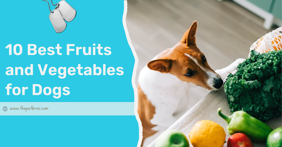 Best Fruits and Vegetables for Dogs