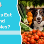 Can dogs eat fruits and vegetables