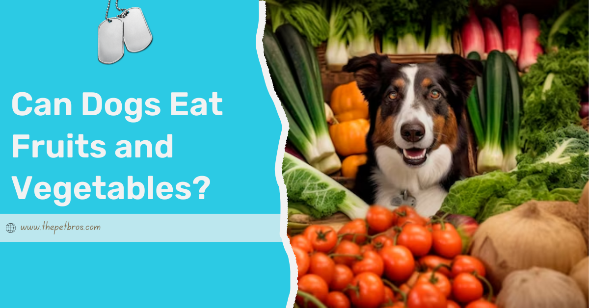 Can Dogs Eat Fruits and Vegetables