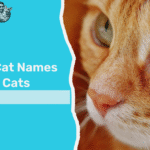 cute cat names for orange cats