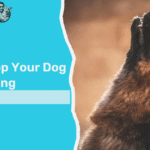stop your dog from howling