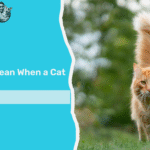 What Does It Mean When a Cat Wags Its Tail? 7 Key Meanings