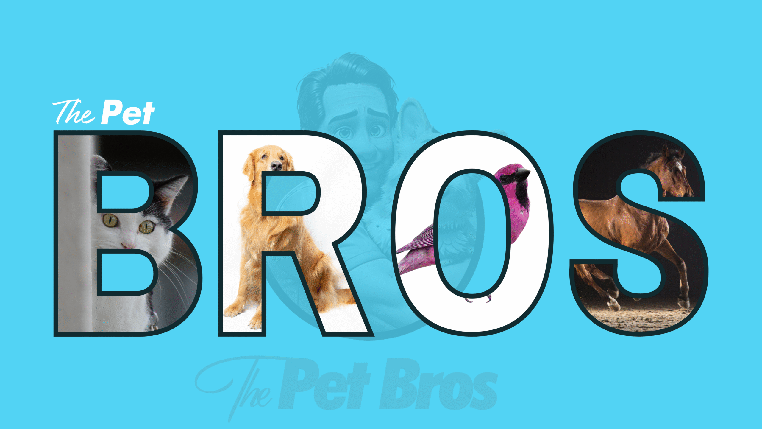 The PetBros Banner