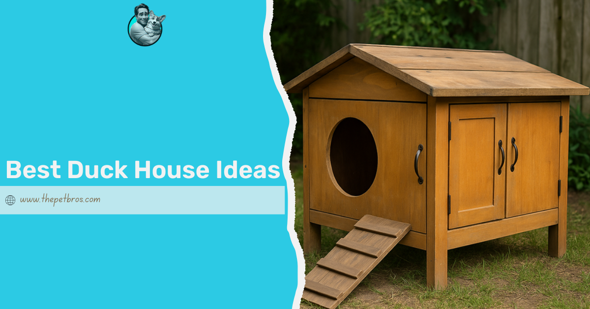 duck house ideas