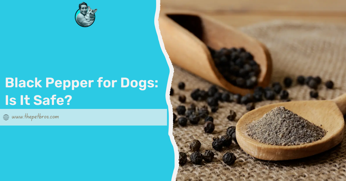 black pepper for dogs