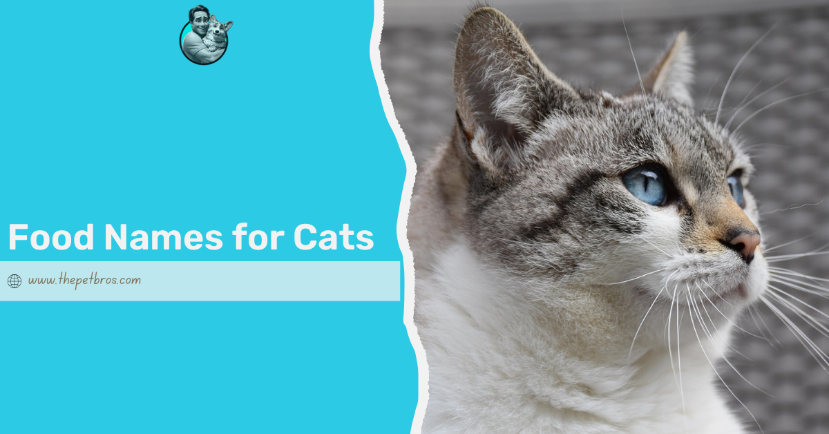 food names for cats