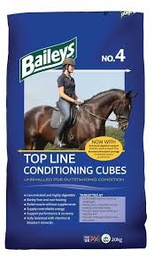 Baileys No. 4 Conditioning Cubes