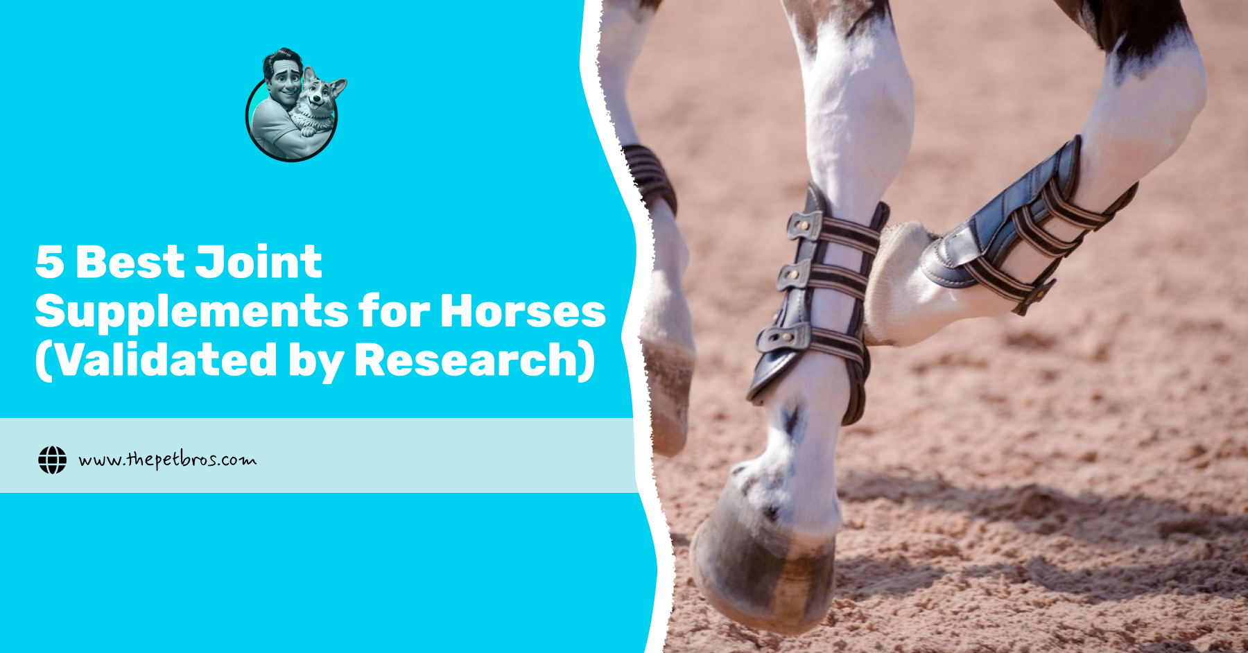 5 Best Joint Supplements for Horses (Validated by Research)