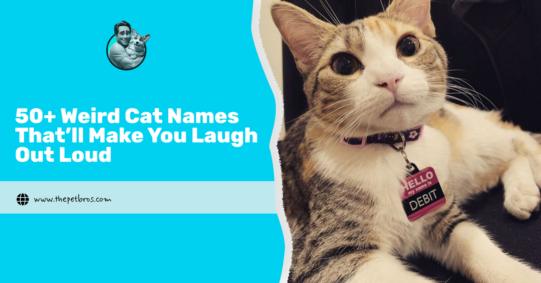 50+ Weird Cat Names That’ll Make You Laugh Out Loud
