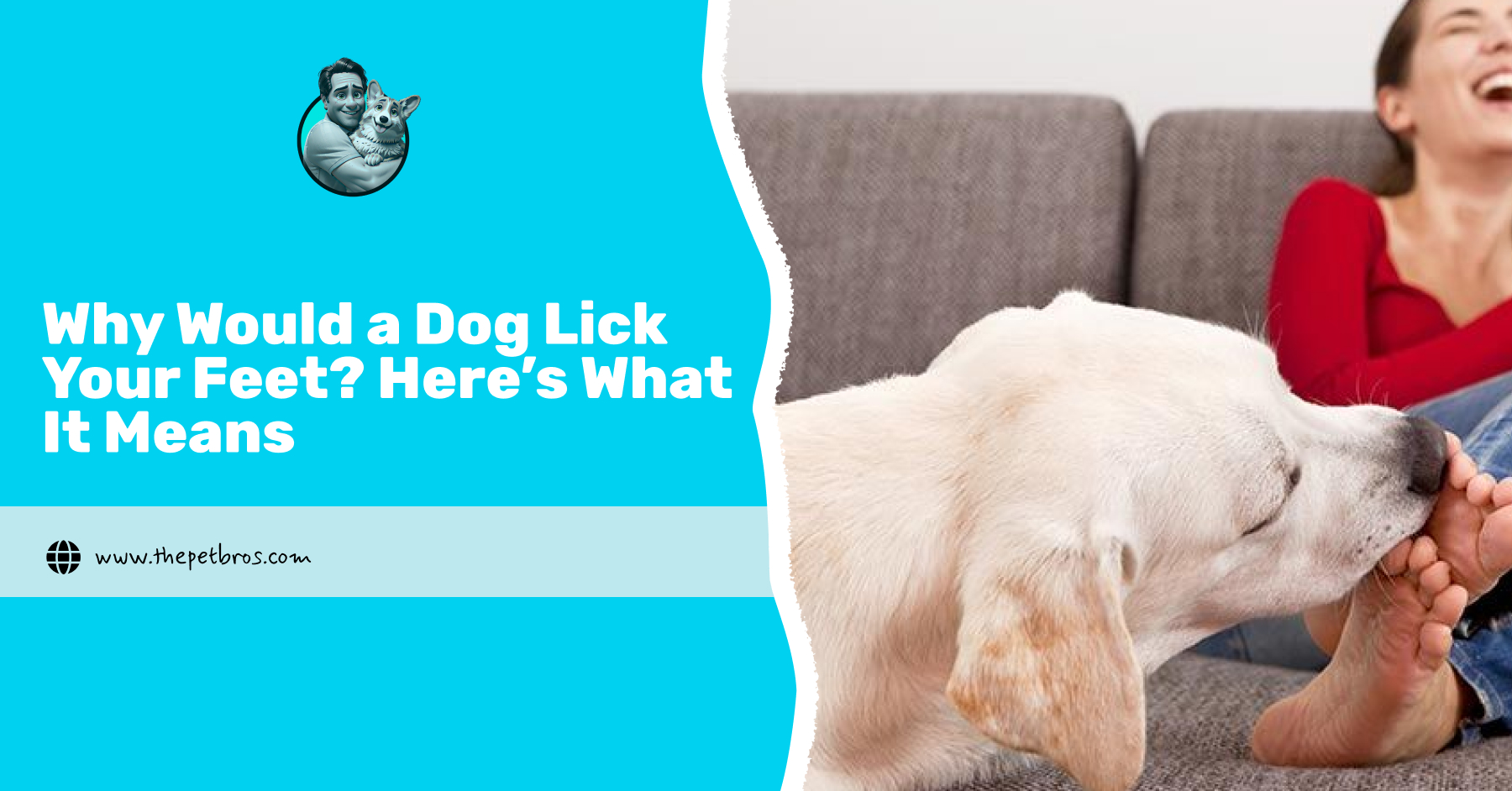 why would a dog lick your feet
