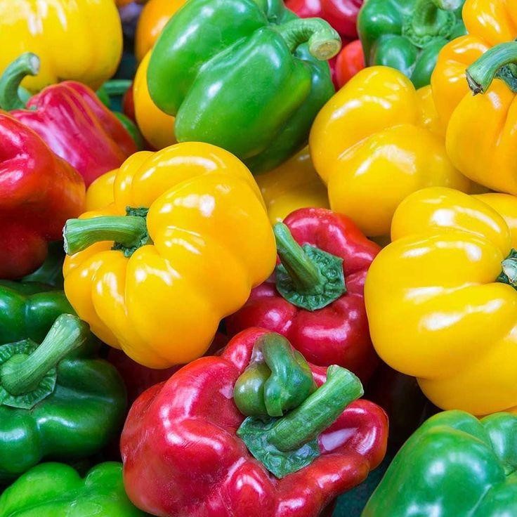 Bell pepper for dogs
