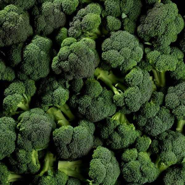 dogs can safely eat broccoli 