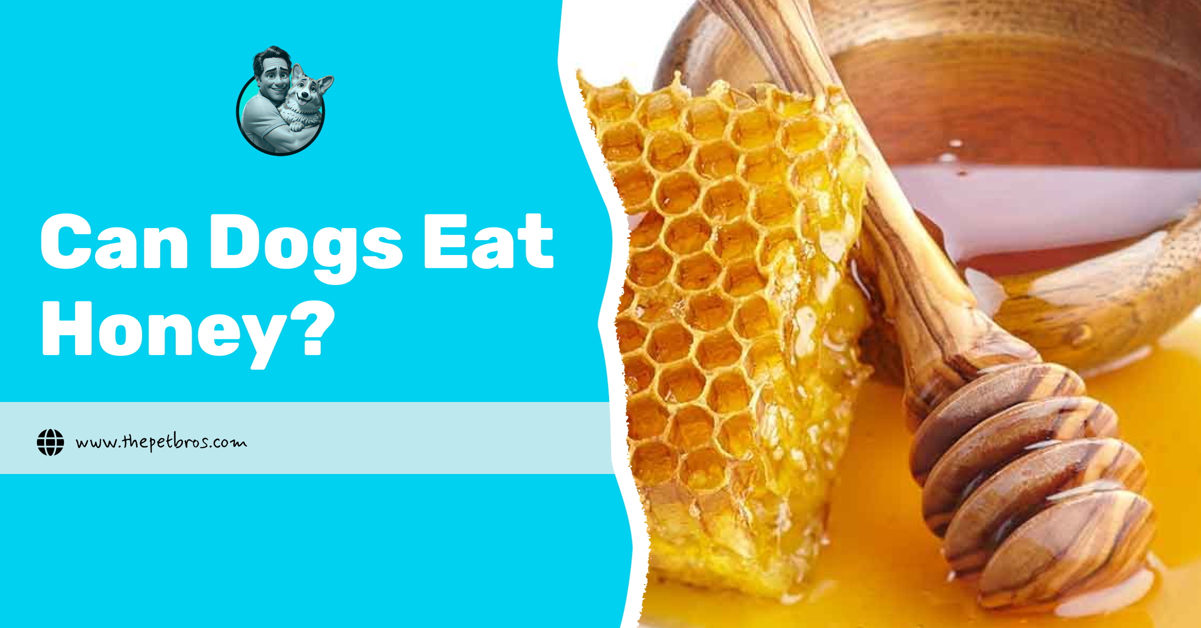 Can Dogs Eat Honey