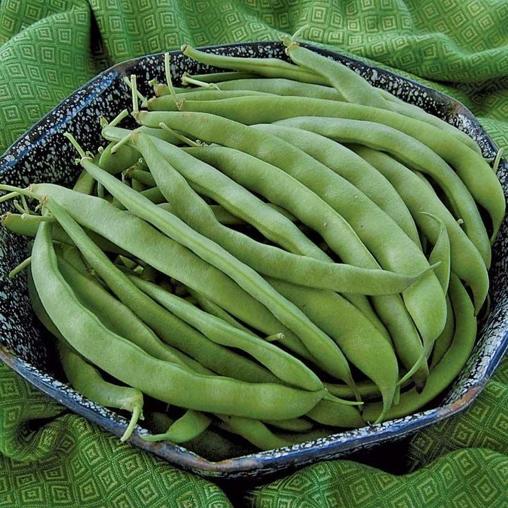 Green beans is a safe vegetable for dogs