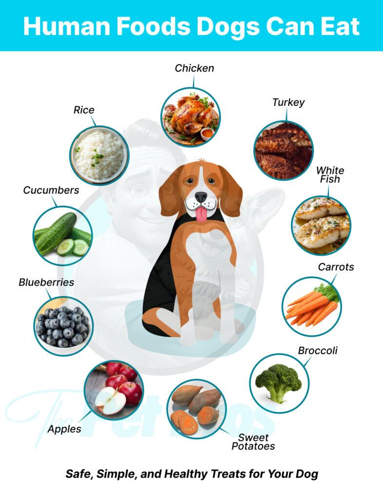 11 Human Foods Dogs Can Eat