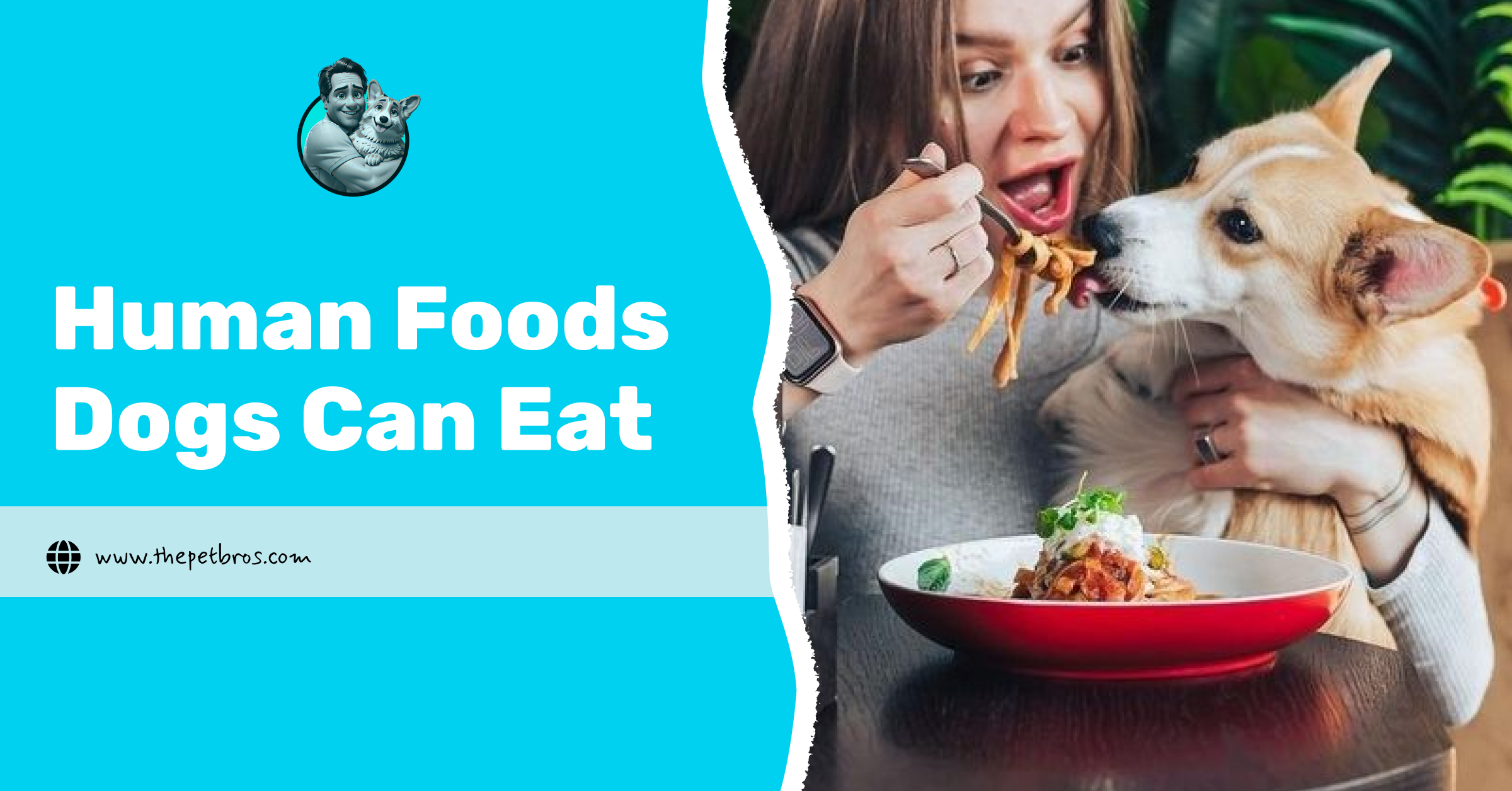 Human Foods Dogs Can Eat