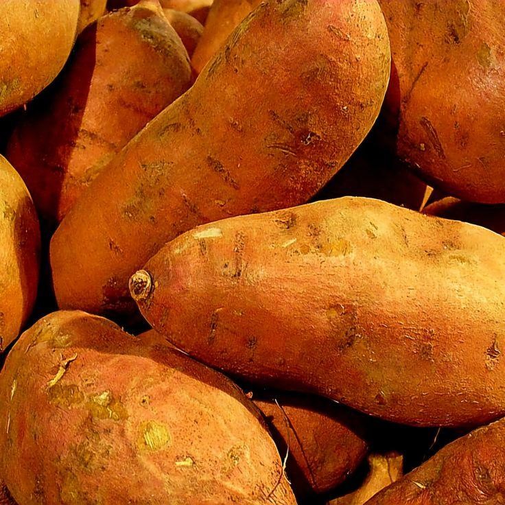 safe vegetables for dogs