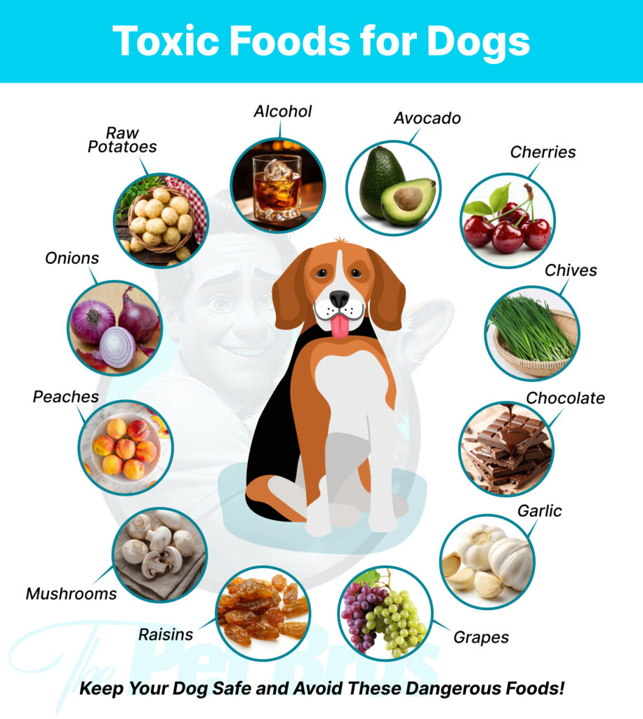 12 Toxic foods for dogs