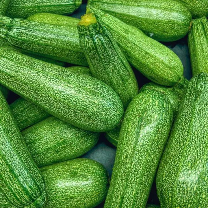 Zucchini in a home garden for dogs