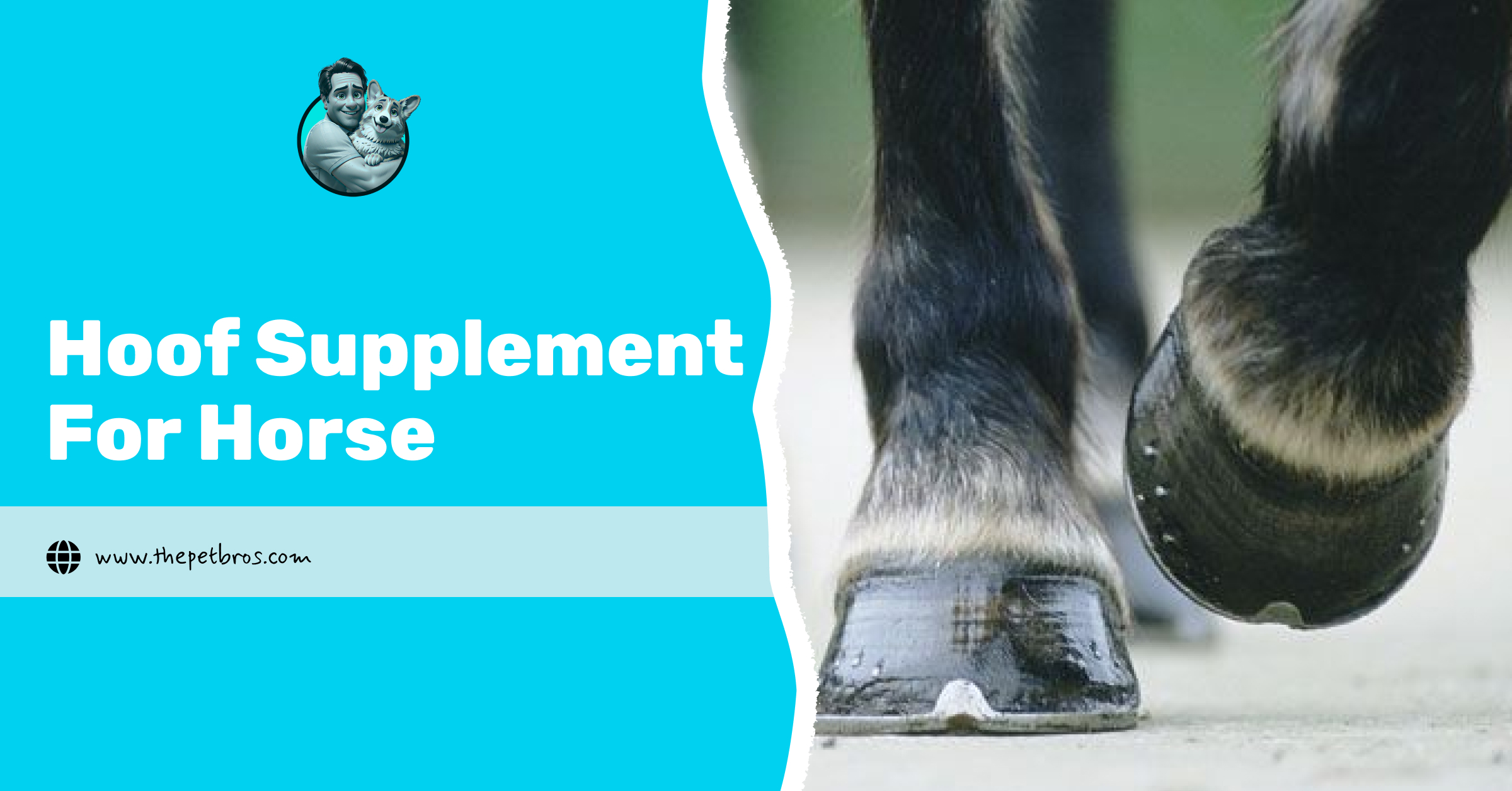 hoof supplement for horse