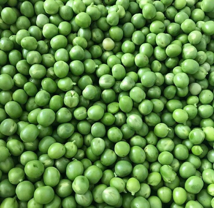 can dogs eat peas? 