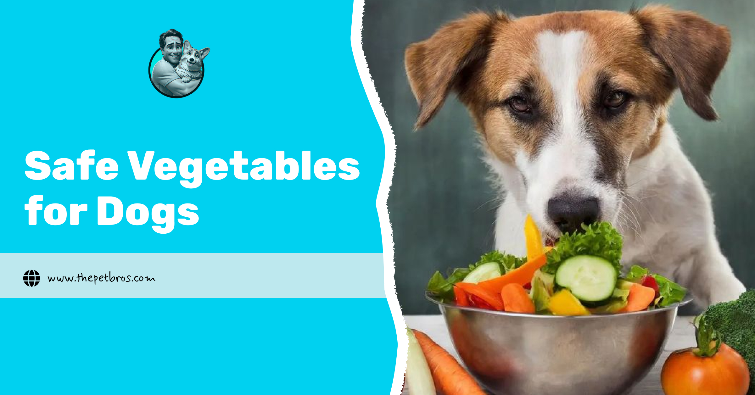 safe vegetables for dogs
