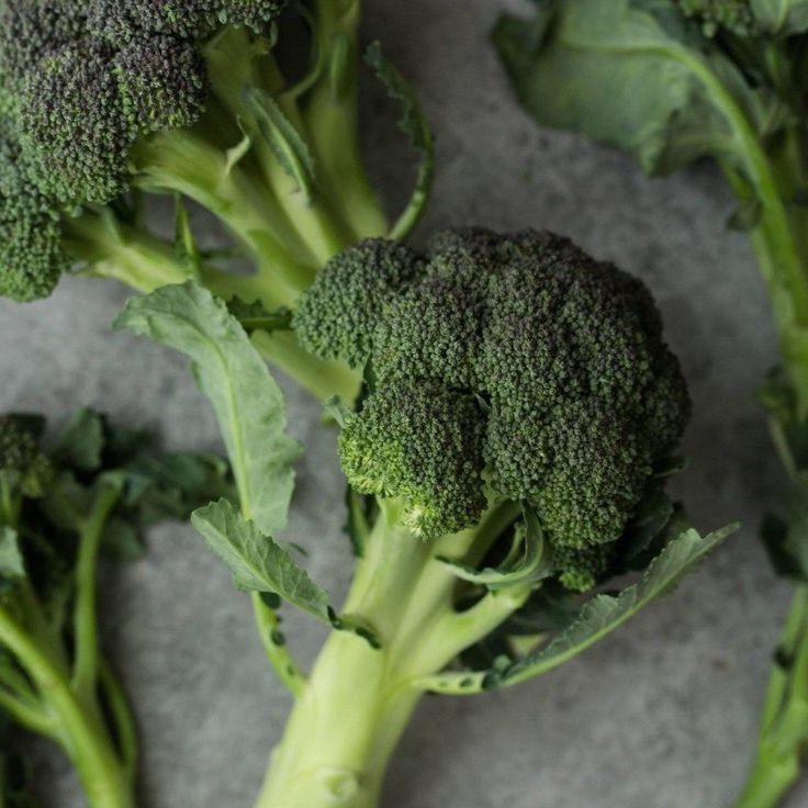 Broccoli deserves a place on the list of vegetables that are good for dogs