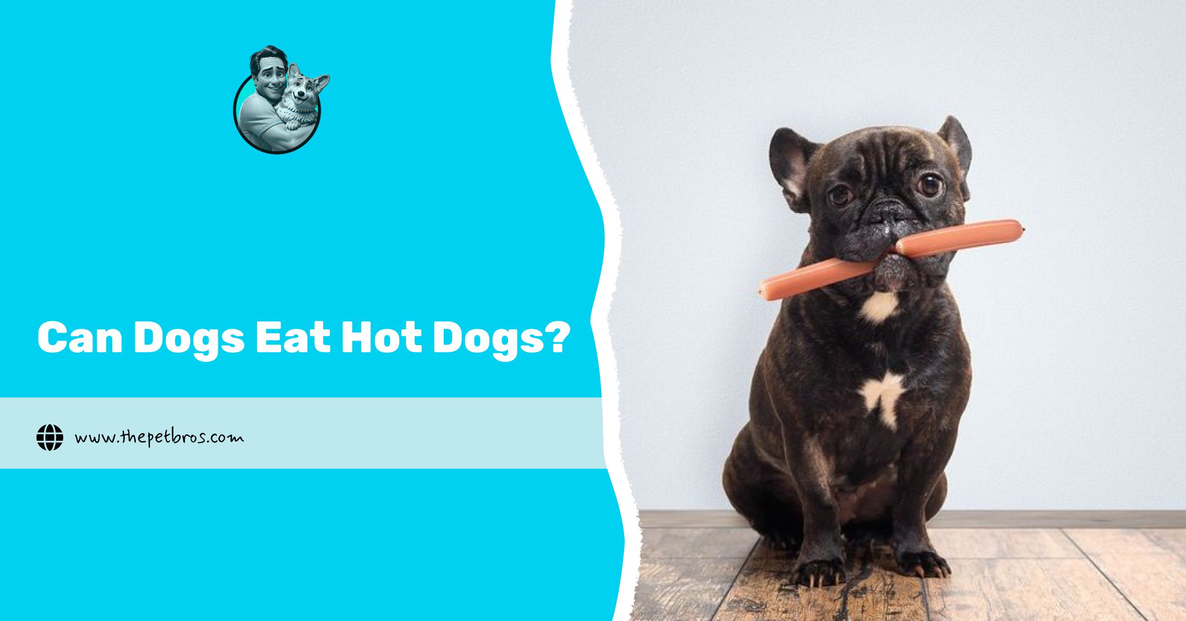 Can Dogs Eat Hot Dogs