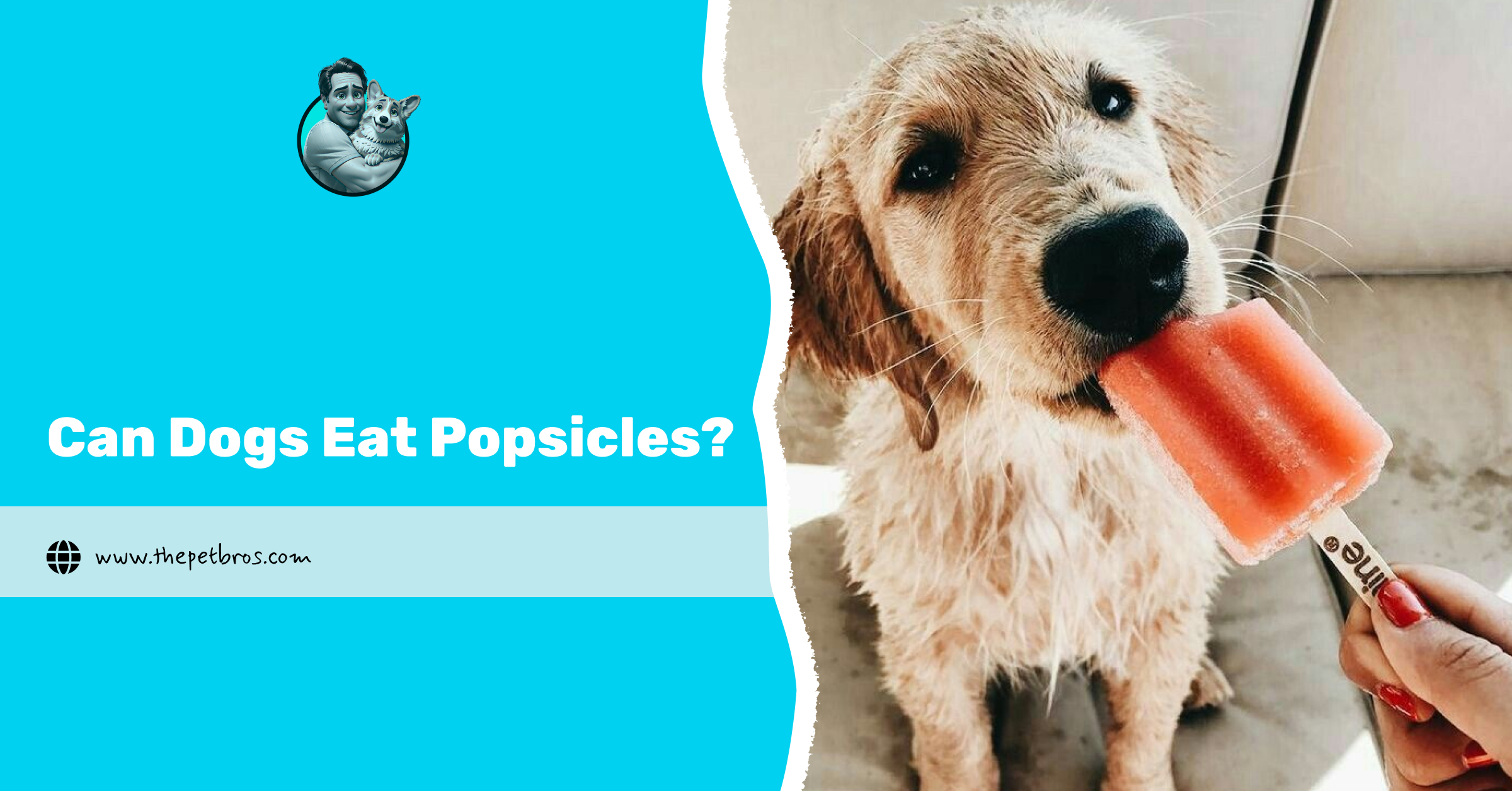 Can Dogs Eat Popsicles?