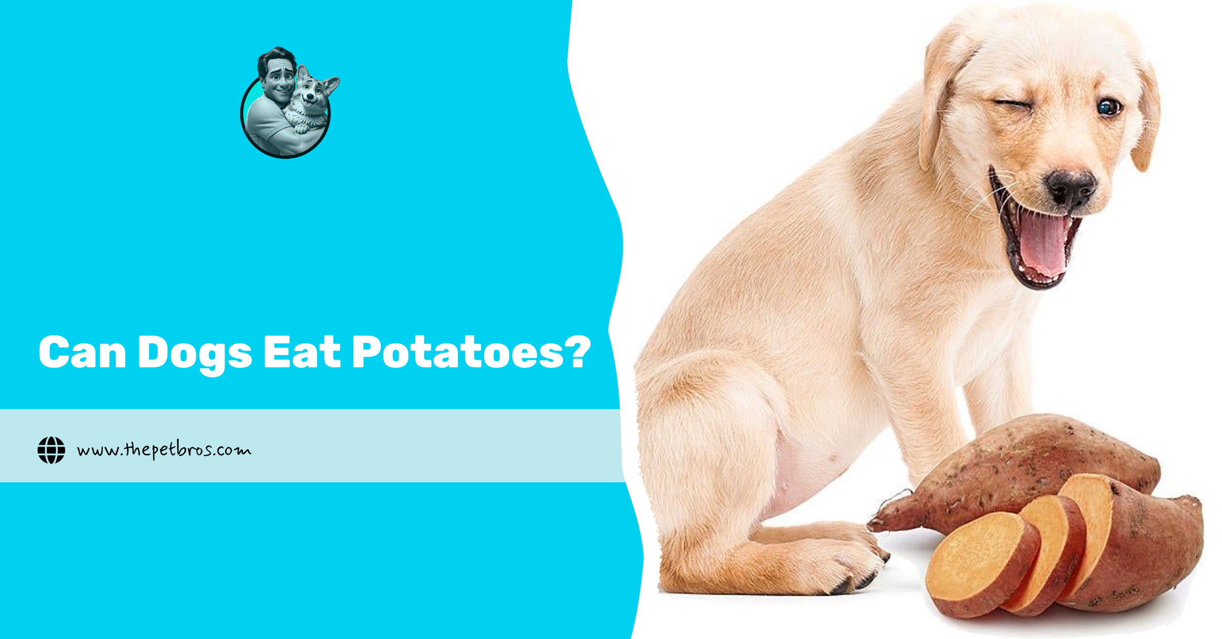 Can Dogs Eat Potatoes?
