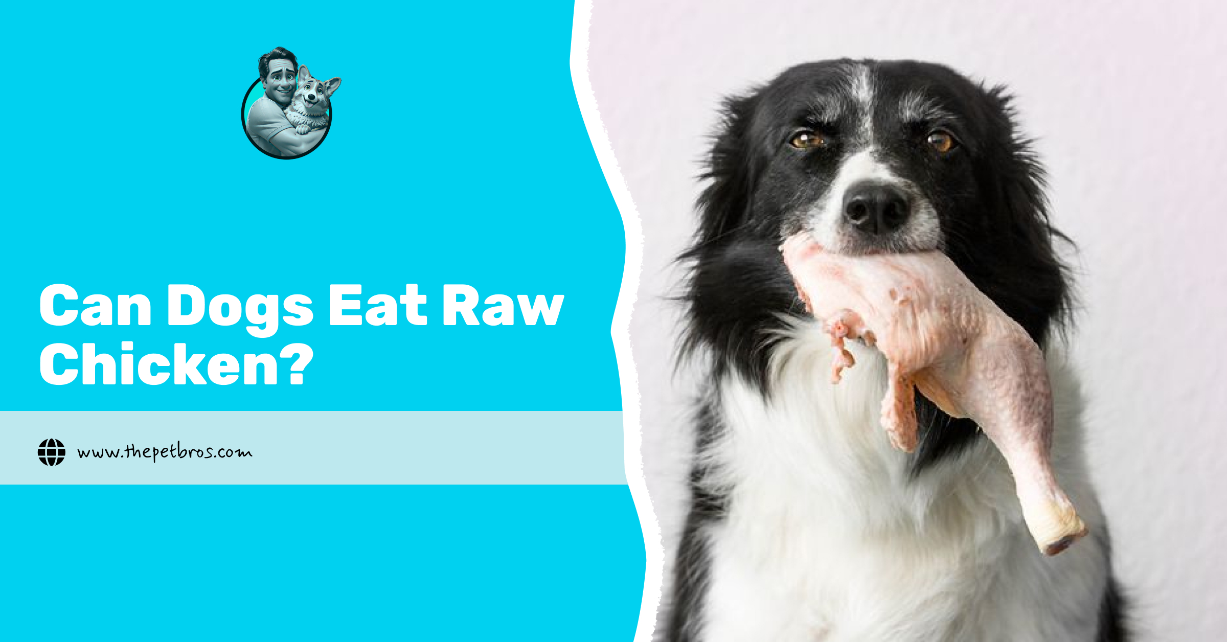 Can Dogs Eat Raw Chicken