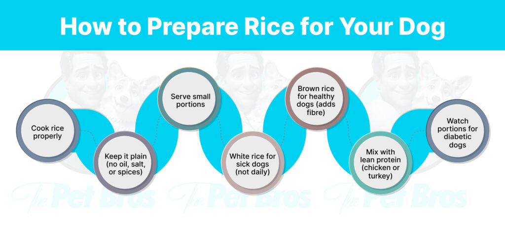 How to Prepare Rice for Your Dog