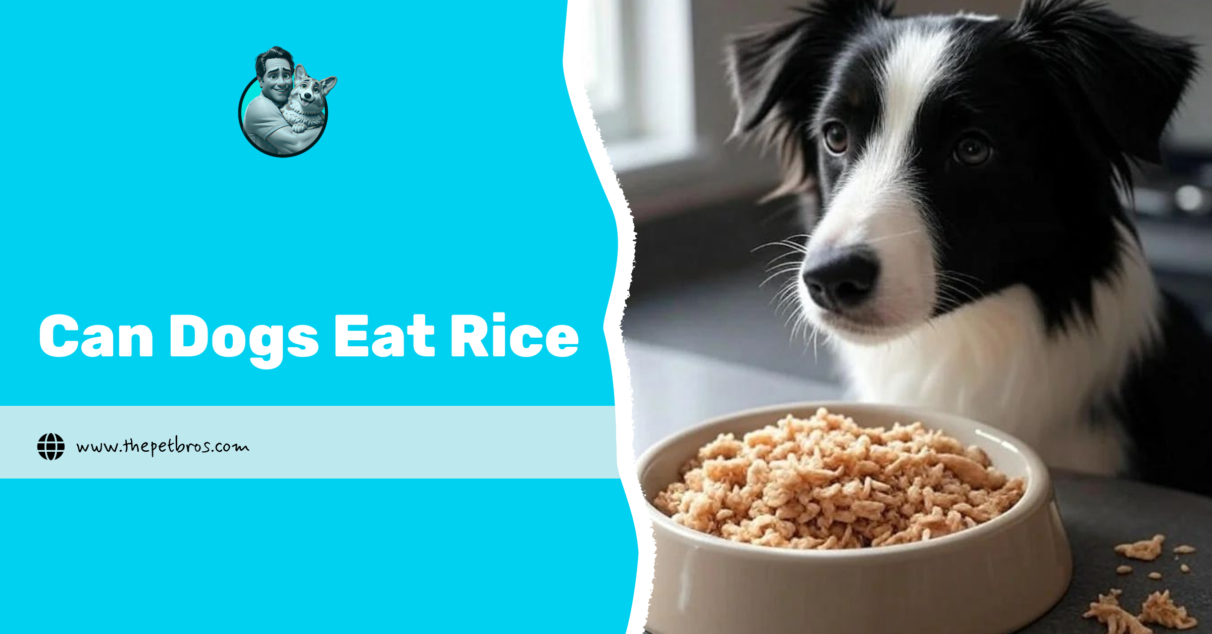 Can Dogs Eat Rice? Benefits, Risks, and How to Serve It