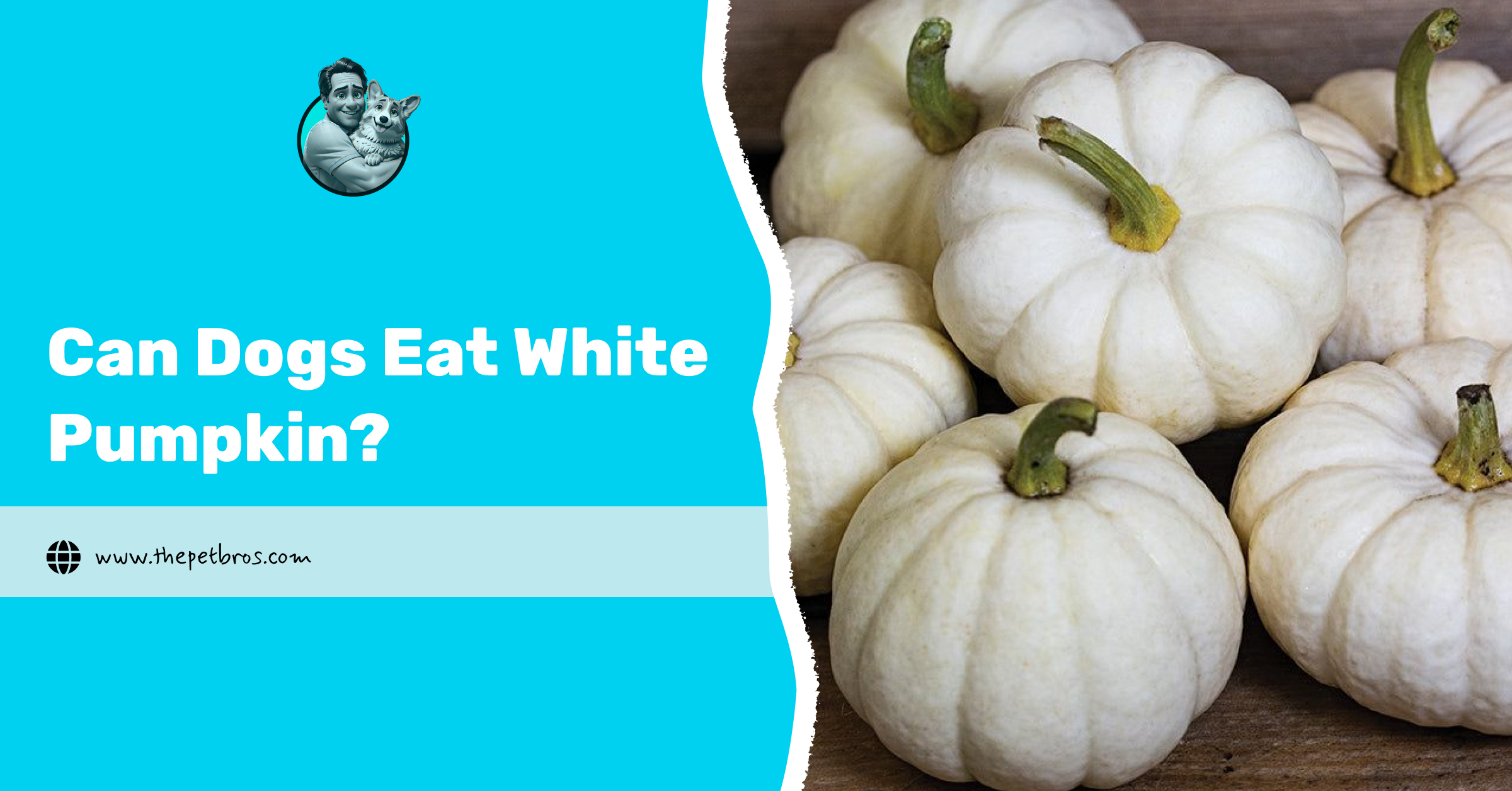 Can Dogs Eat White Pumpkin?