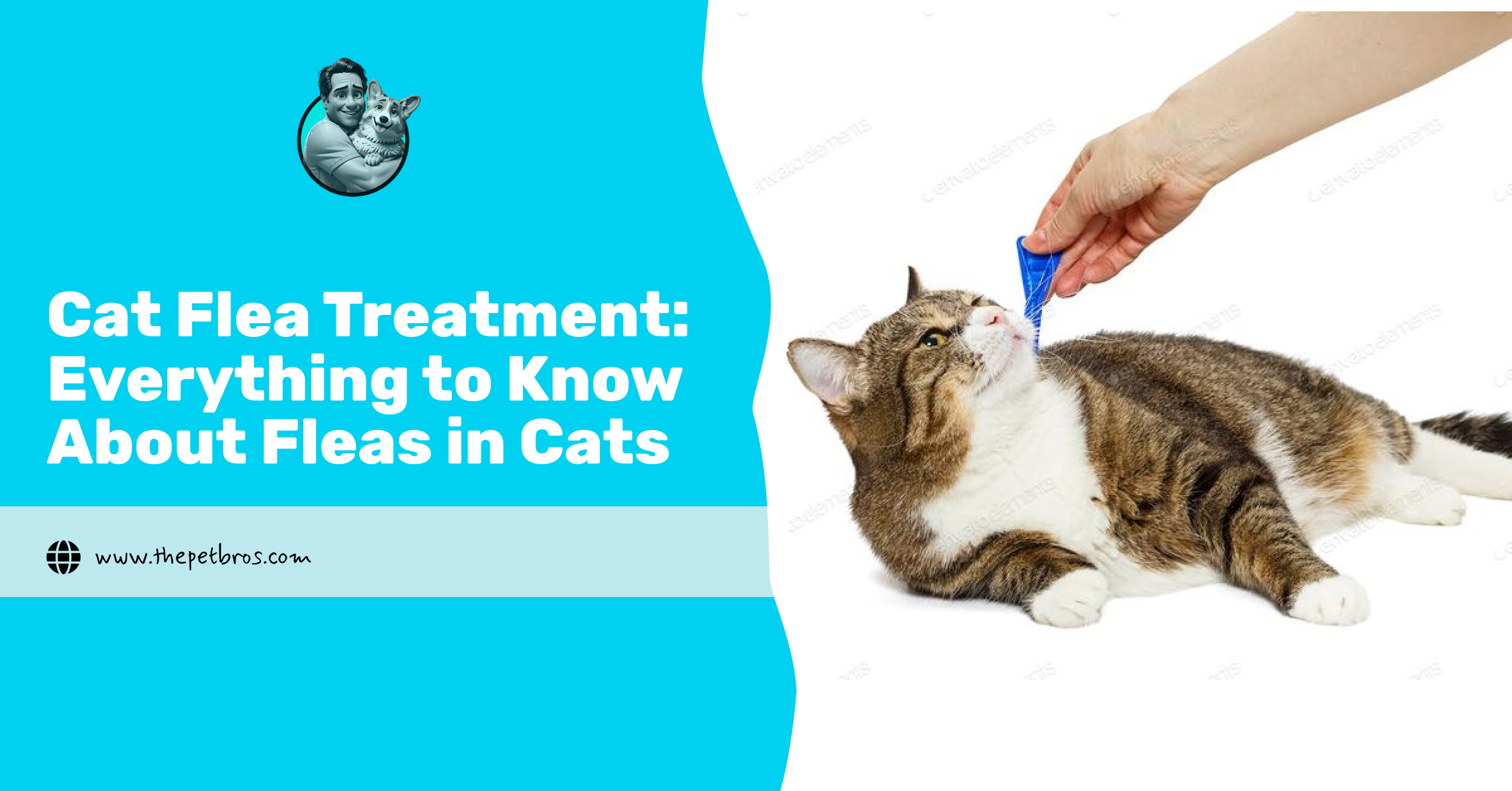 cat flea treatment