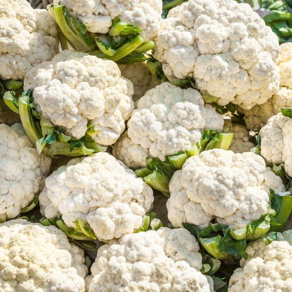 Cauliflower is a versatile vegetable