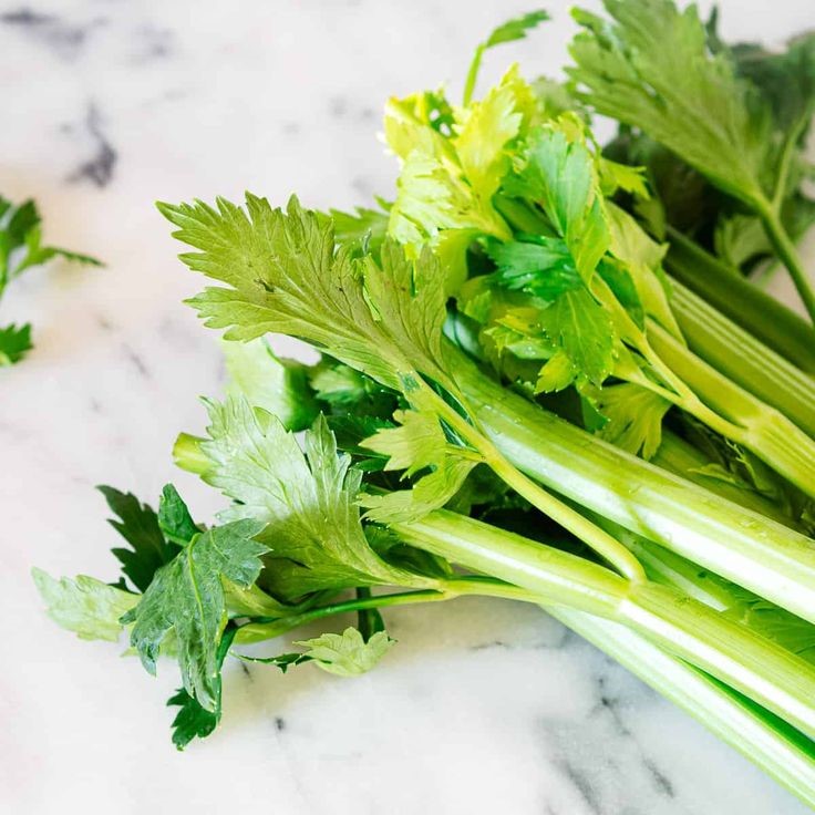 A bunch of celery vegetables