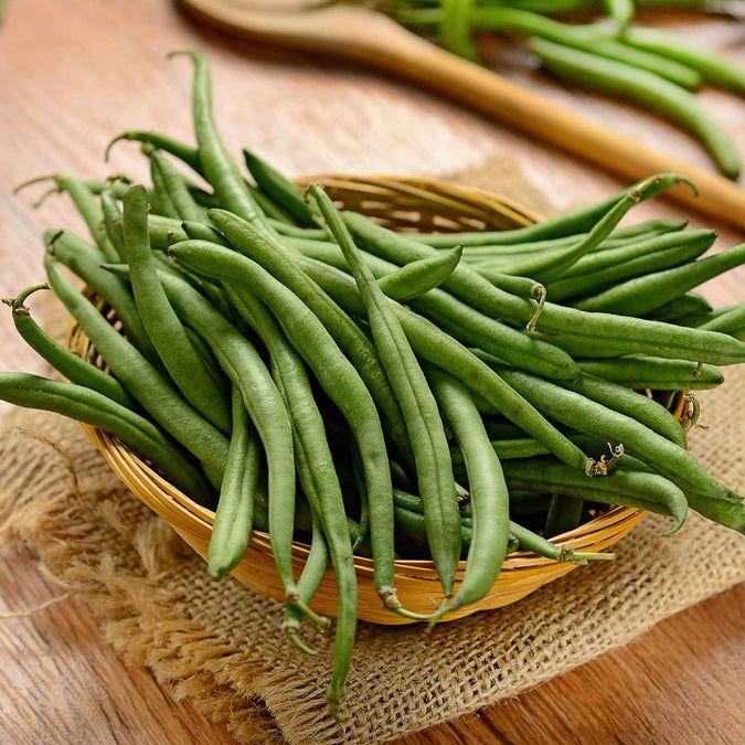 Green beans are crisp, refreshing, and many pups adore them as a guilt-free treat.
