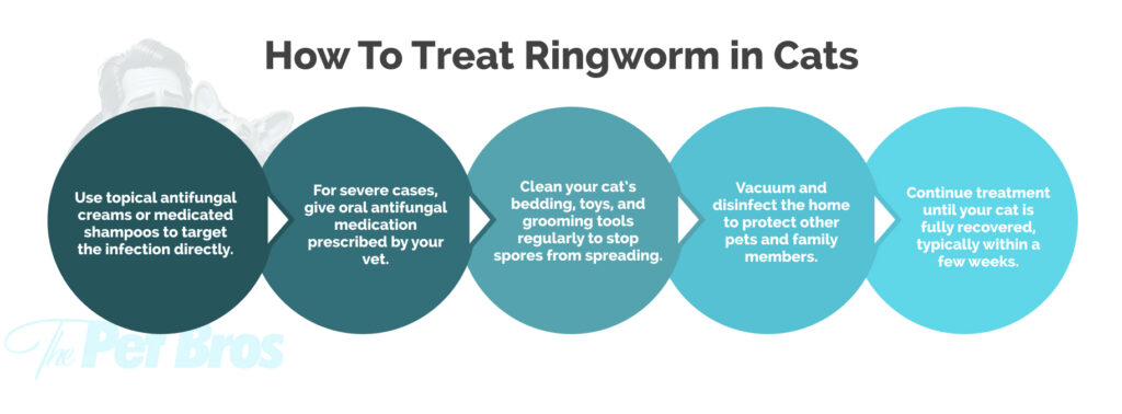 How To Treat Ringworm in Cats