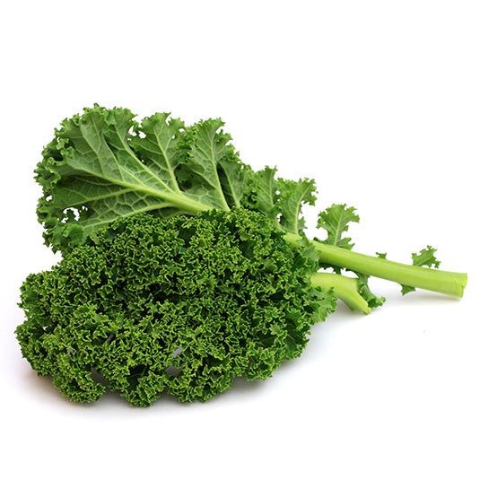 what vegetables are good for dogs