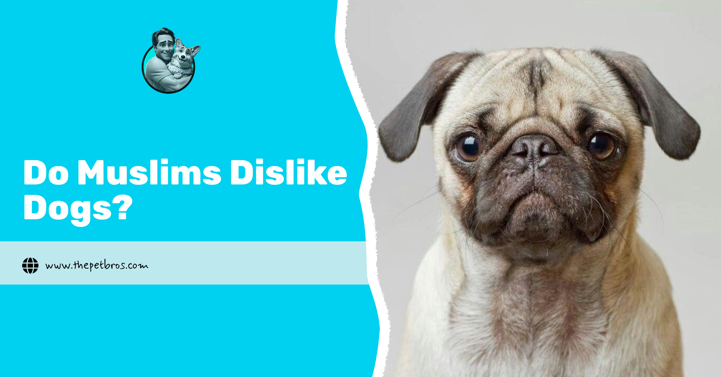 Do Muslims Dislike Dogs? The Real Story Behind the Belief