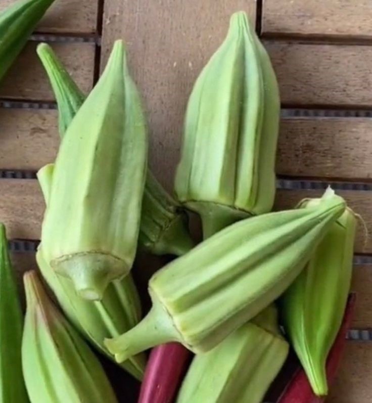 what vegetables are good for dogs