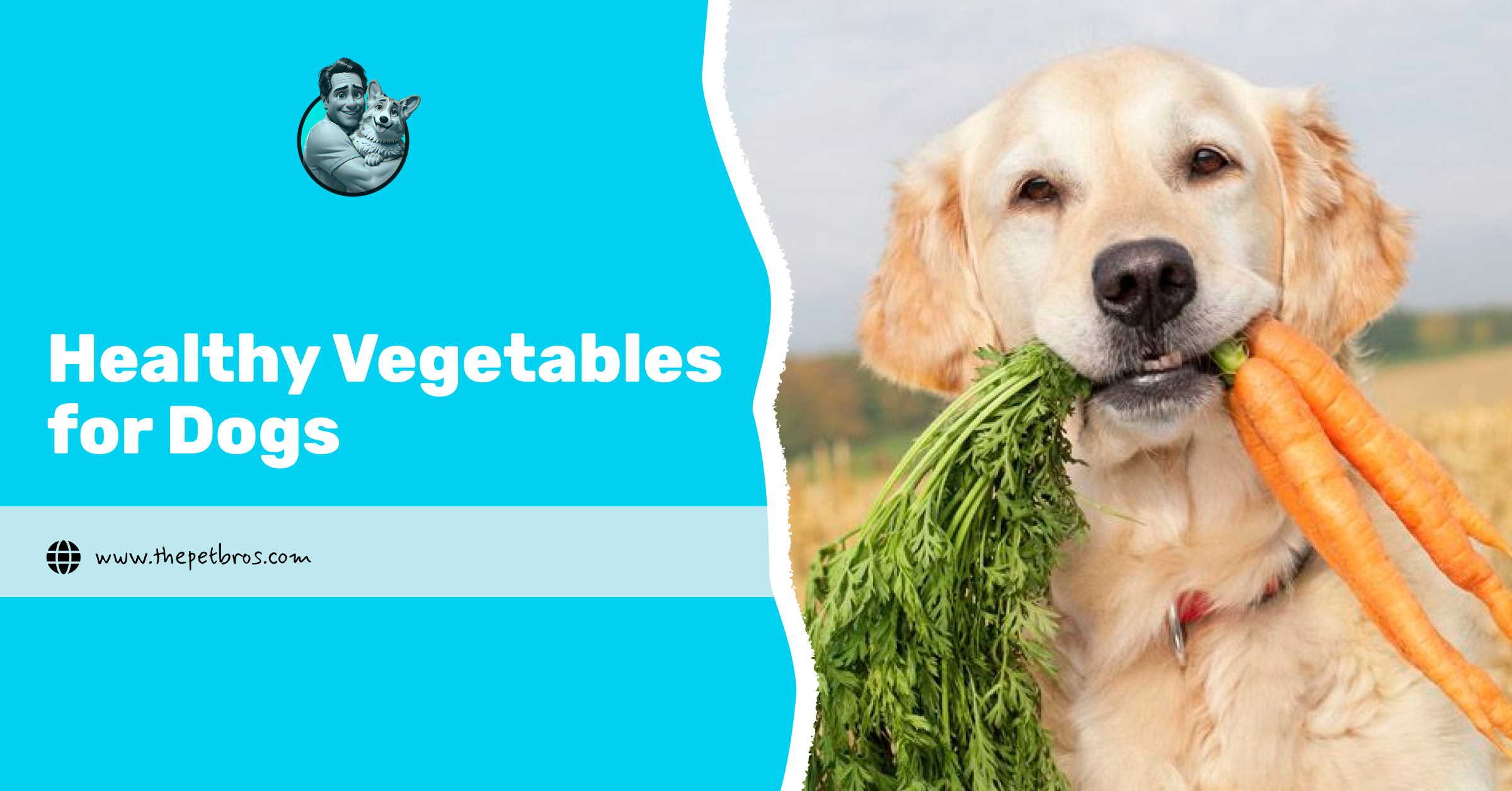 healthy vegetables for dogs