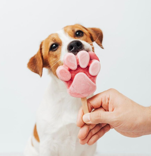 popsicles for dogs