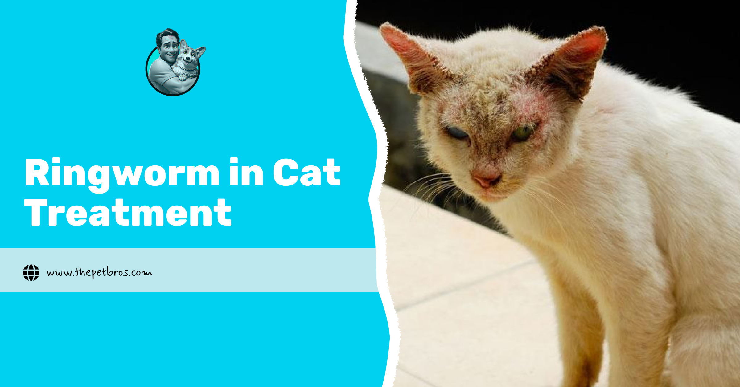 ringworm in cat treatment