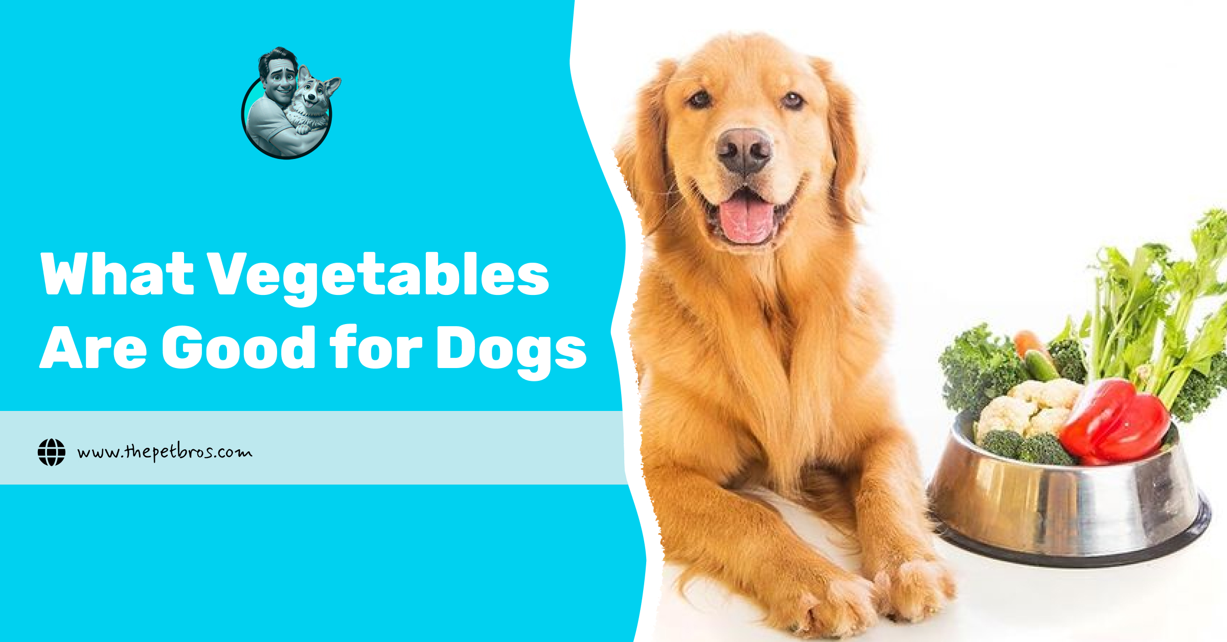what vegetables are good for dogs