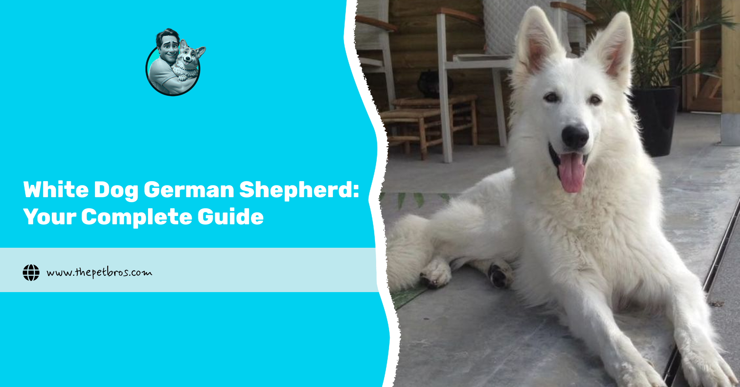 white dog german shepherd