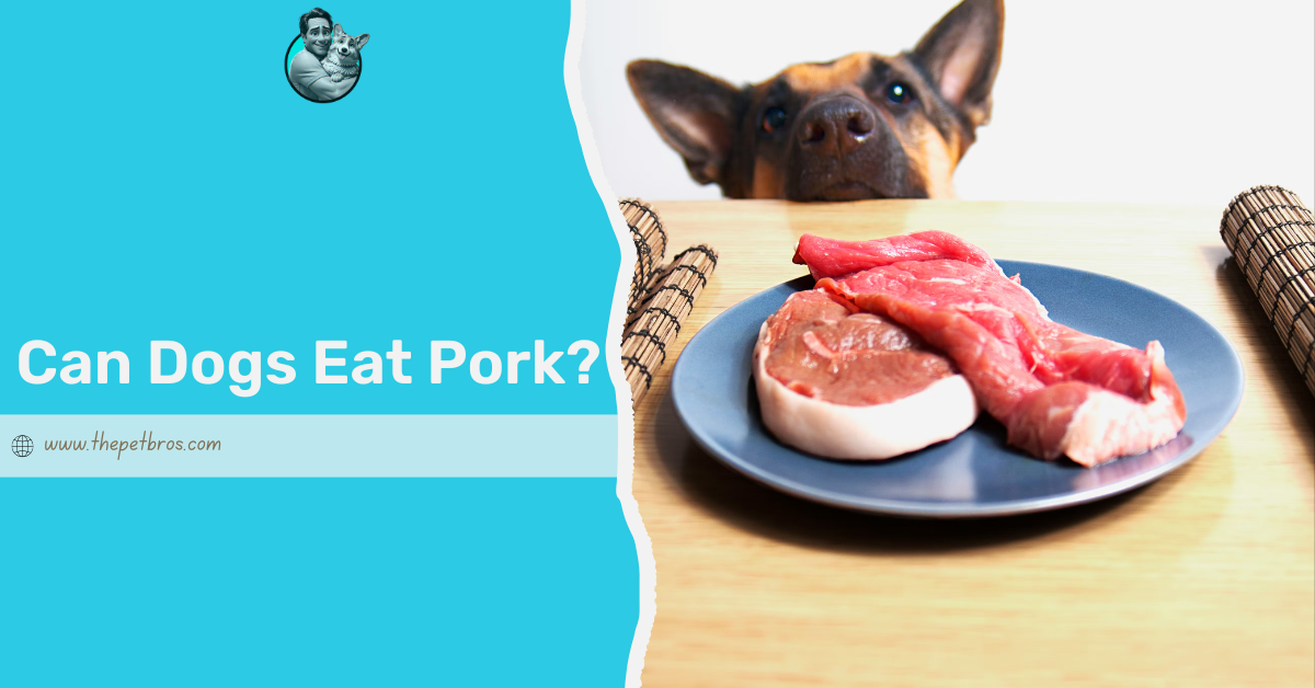 Can Dogs Eat Pork